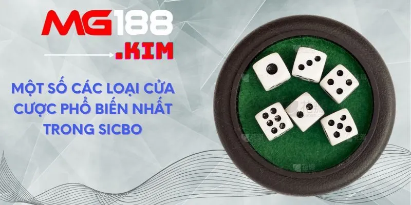 Một số các loại cửa cược phổ biến nhất trong Sicbo